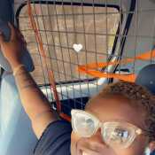 BluBunni95