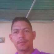 brach183
